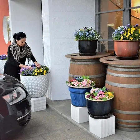 Hotel Ulmer Stuben Ulma